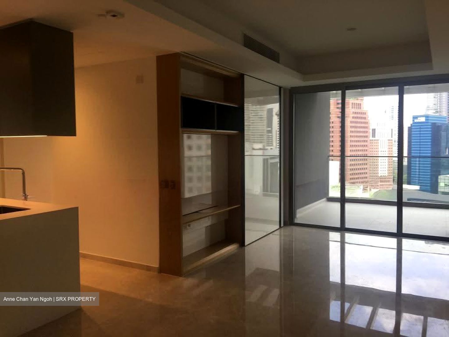 Cairnhill Nine (D9), Apartment #621745581